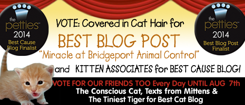Pettie Banner Nominate for BLogPosts B copy.png